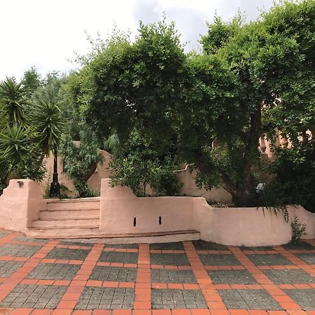 89 Le Grand Pin Daire Sainte-Maxime Dış mekan fotoğraf